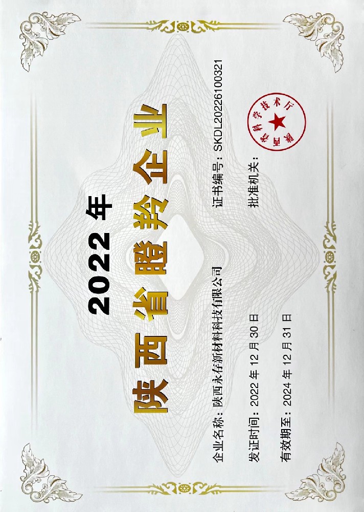 2-2高新技术企业证